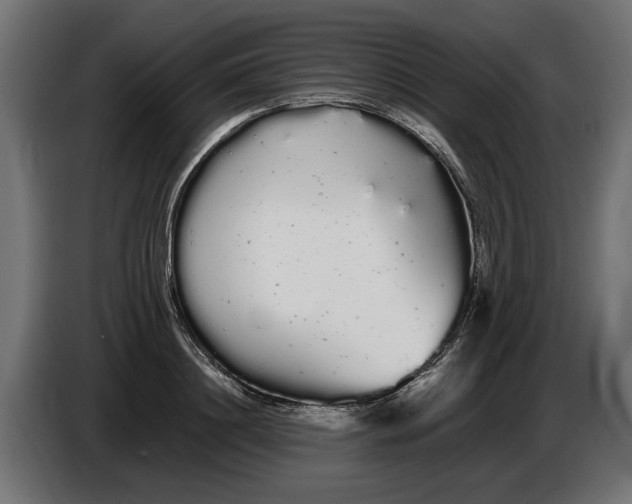 X0000086090844200704132124