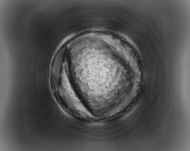 X0000086090845200704132124