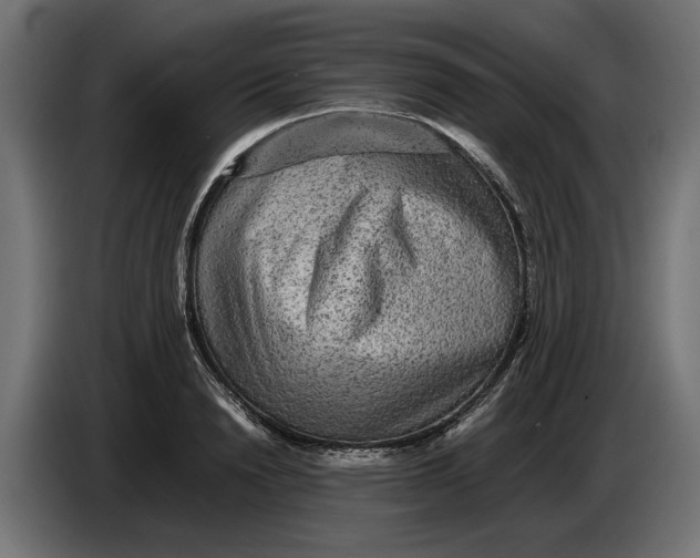 X0000086090846200704132124