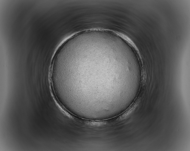 X0000086090847200704132124