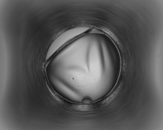 X0000086090849200704132124