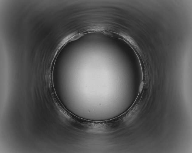 X0000086090850200704132124