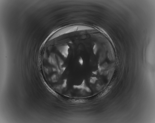 X0000086090851200704132124