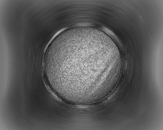 X0000086090852200704132124