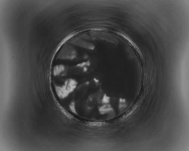 X0000086090853200704132124