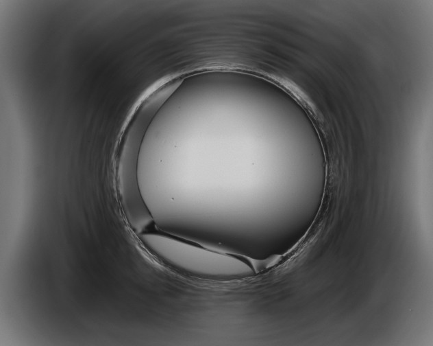 X0000086090854200704132124