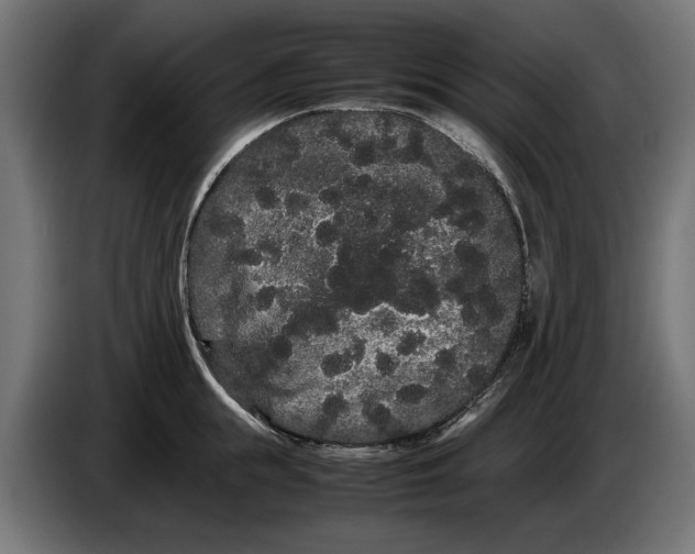 X0000086090855200704132124