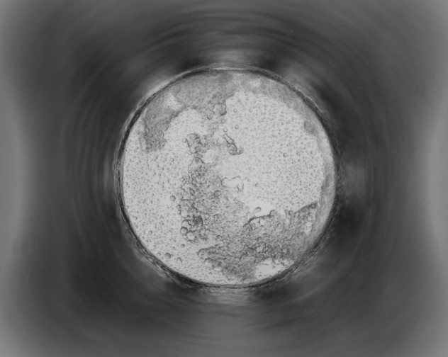 X0000086090856200704132124