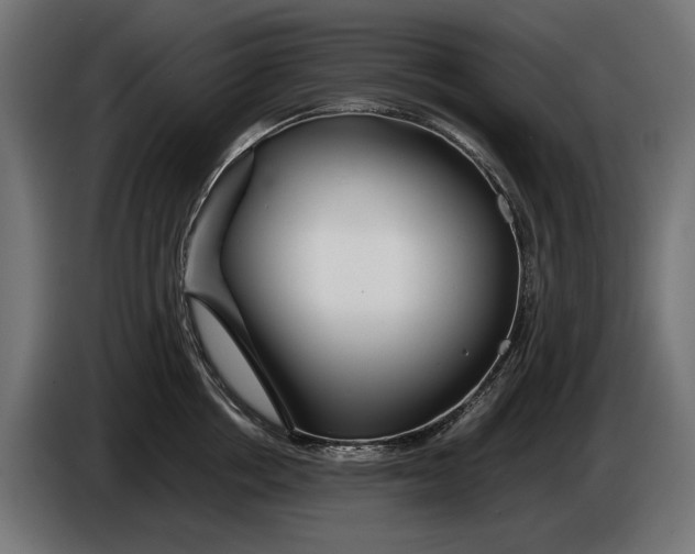 X0000086090858200704132124