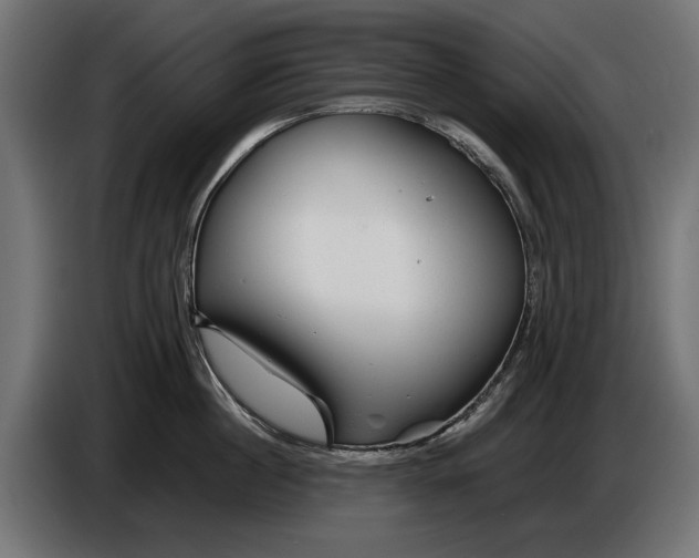 X0000086090860200704132124