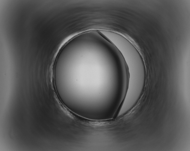 X0000086090862200704132124