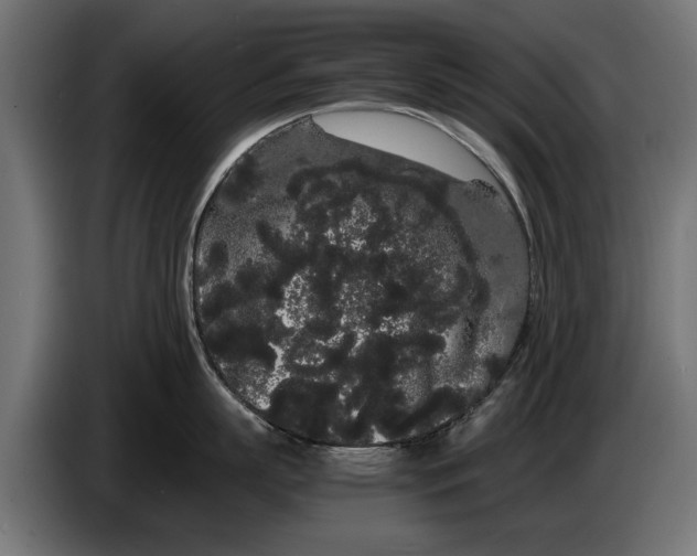 X0000086090863200704132124