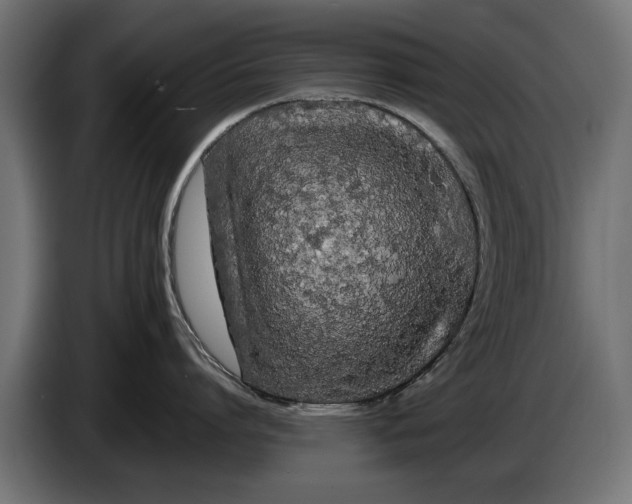 X0000086090864200704132124