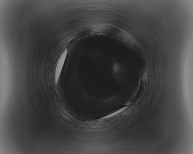 X0000086090868200704132123