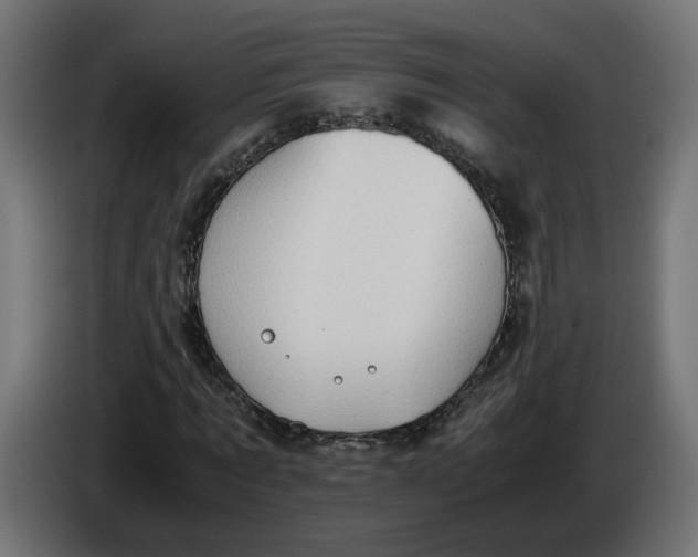 X0000086090869200704132123