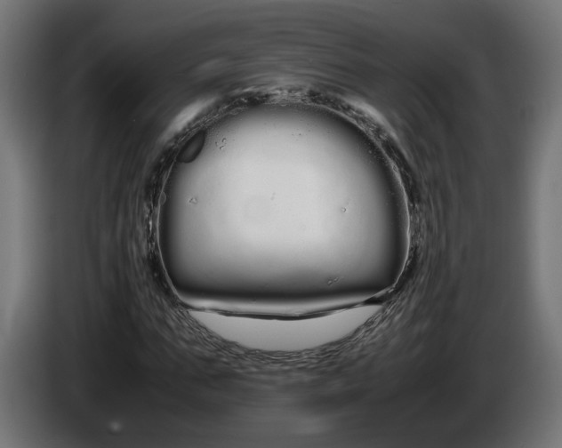 X0000086090871200704132123