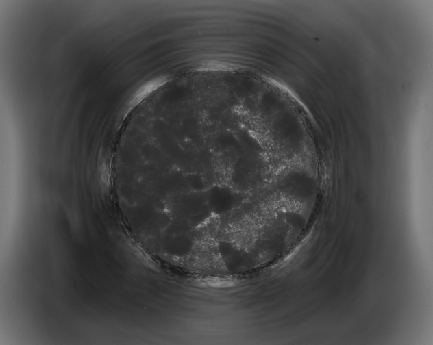 X0000086090874200704132123