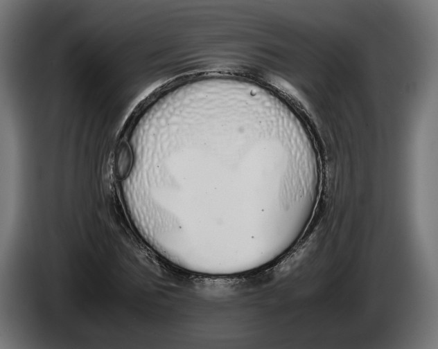 X0000086090875200704132123