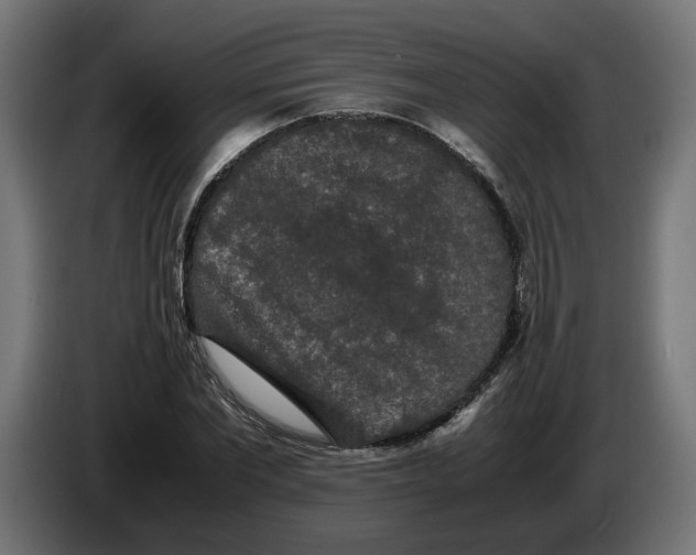 X0000086090877200704132123