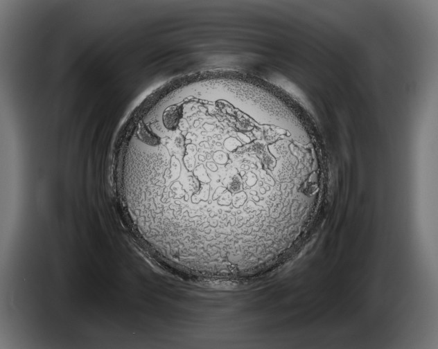 X0000086090878200704132123