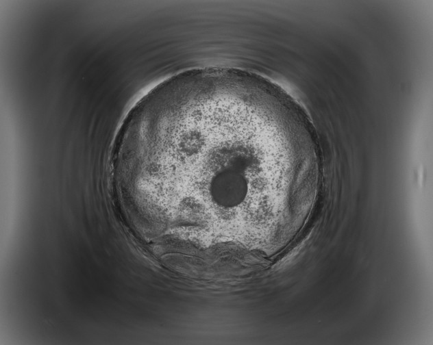 X0000086090879200704132123