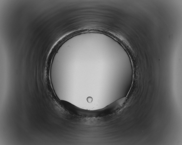 X0000086090880200704132123