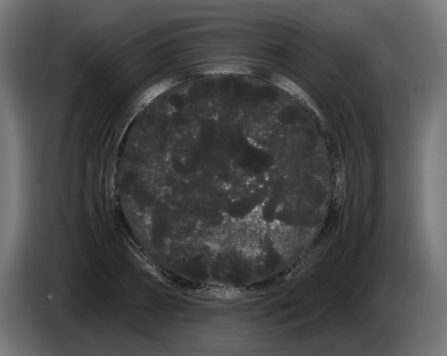 X0000086090882200704132123