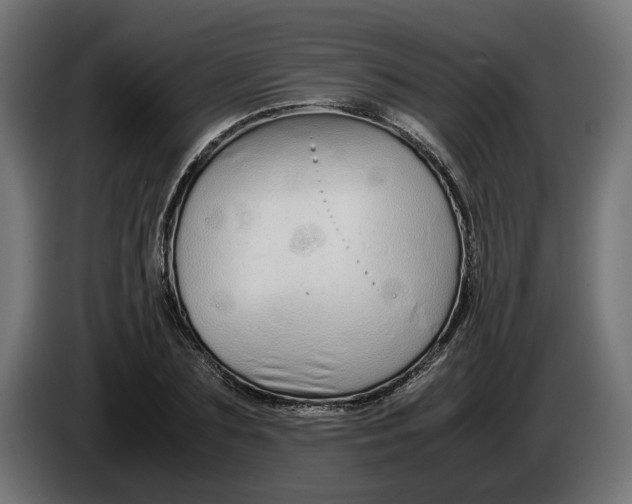 X0000086090883200704132123