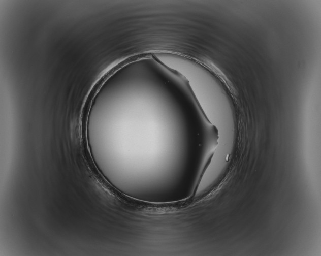 X0000086090884200704132123