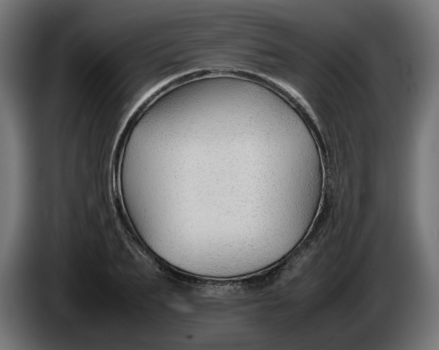 X0000086090887200704132123