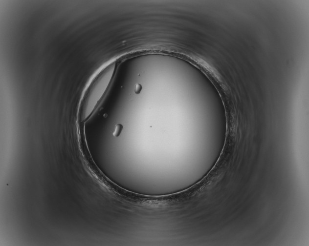 X0000086090888200704132123