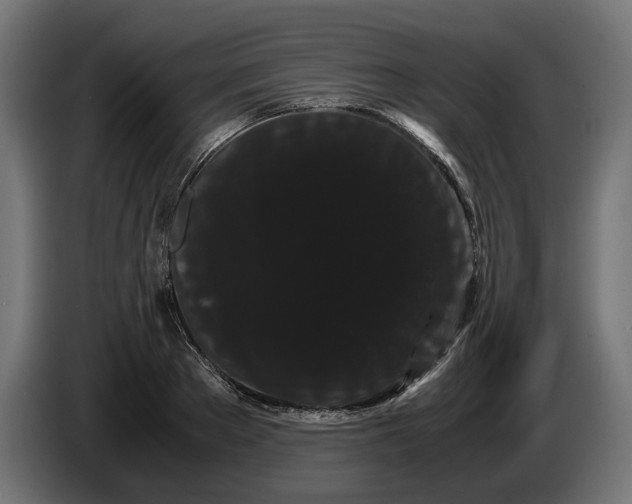 X0000086090889200704132123