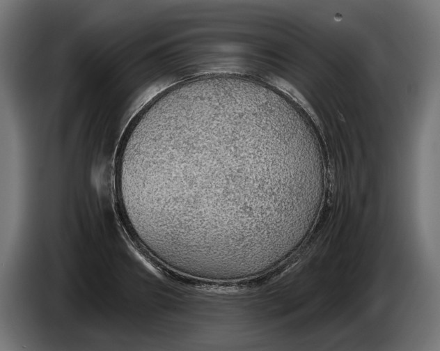 X0000086090890200704132123