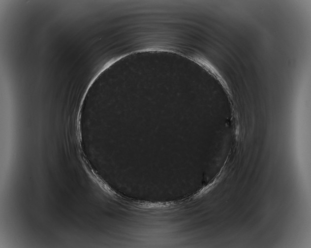 X0000086090892200704132123