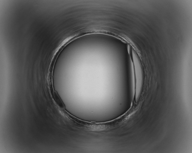 X0000086090893200704132123