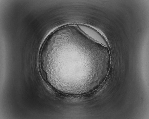 X0000086090895200704132123