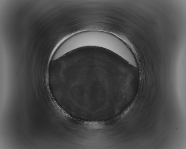 X0000086090896200704132123