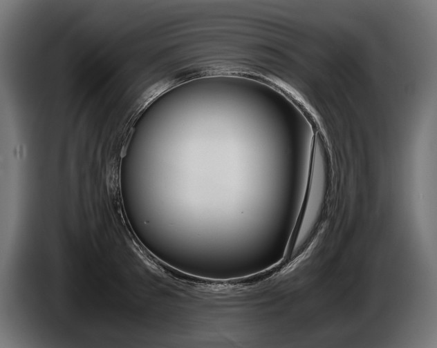 X0000086090897200704132123