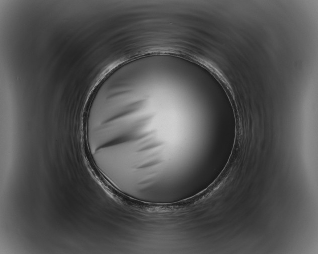 X0000086090898200704132123