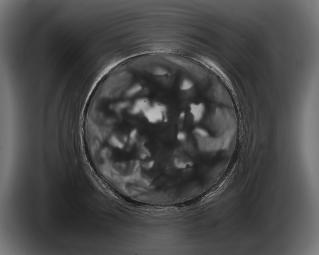 X0000086090899200704132123