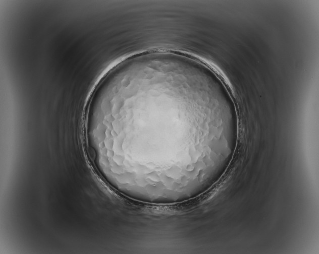 X0000086090903200704132123