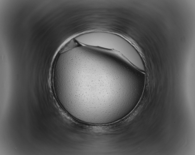 X0000086090904200704132123