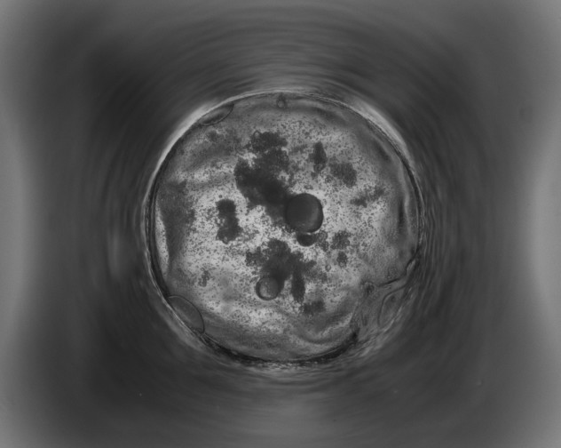 X0000086090907200704132123