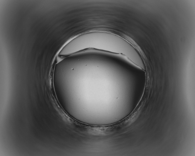 X0000086090908200704132123