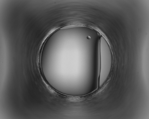 X0000086090909200704132123