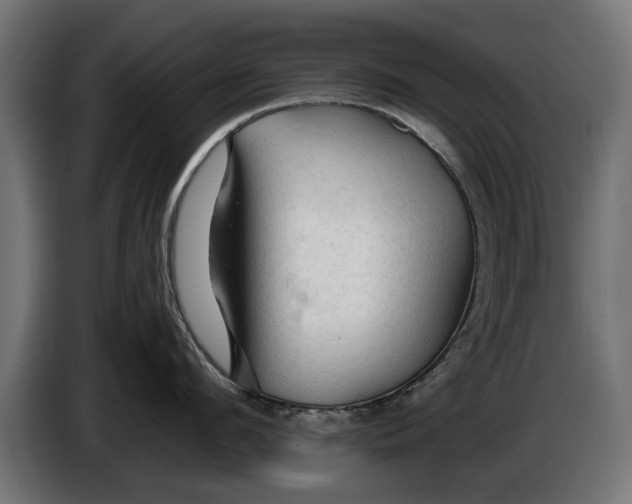 X0000086090912200704132123