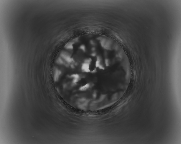 X0000086090913200704132122