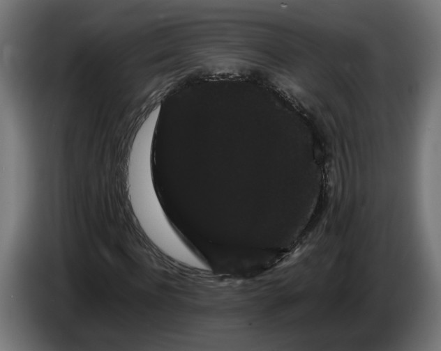 X0000086090916200704132122