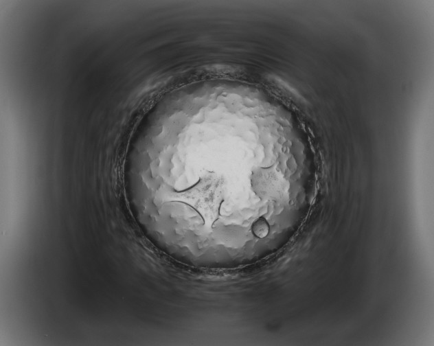 X0000086090917200704132122