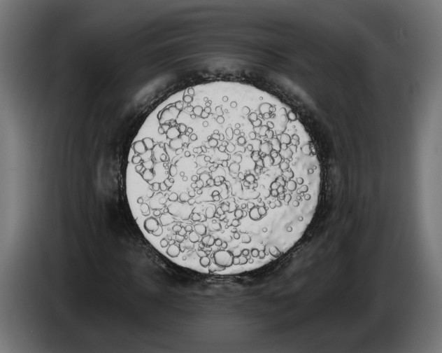 X0000086090918200704132122